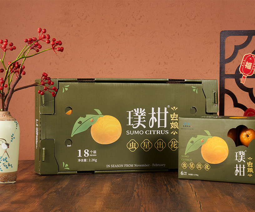 东璞农业&曦范尔 |【虫娘】贡柑礼盒包装策划设计